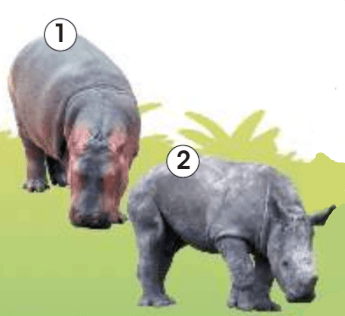 Задание рисунок 1