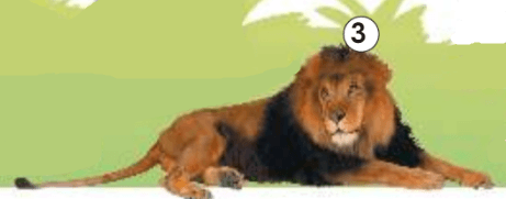 Задание рисунок 2