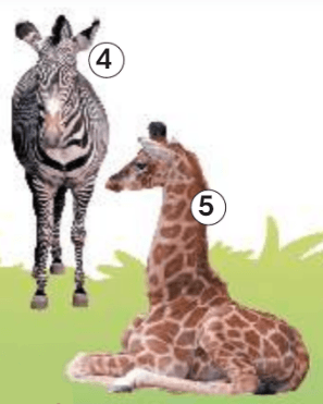 Задание рисунок 3