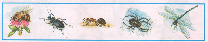 Задание рисунок 1