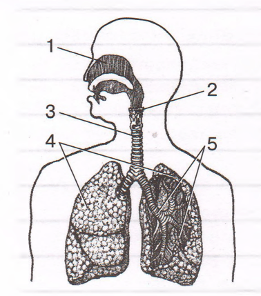 Задание рисунок 1