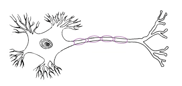 Решение рисунок 2