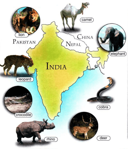 Задание рисунок 1